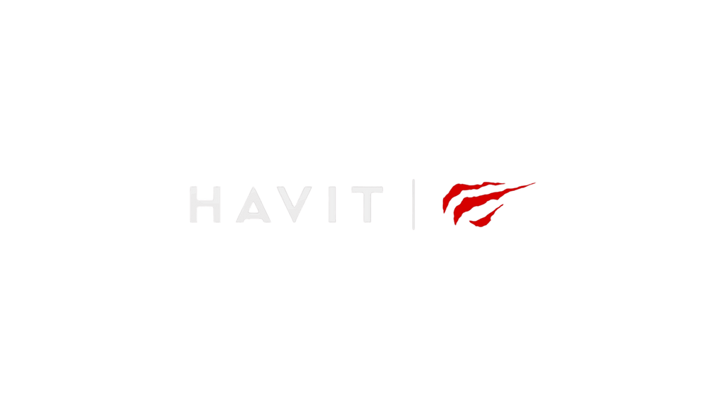 HAVIT Gaming Headset, Use Protein Leather Earmuffs and Detachable Mic - TKINGS