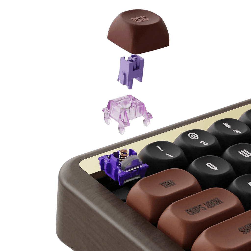 Akko Autumn Wooden Mechanical Keyboard MOA Profile RGB Hot - TKINGS