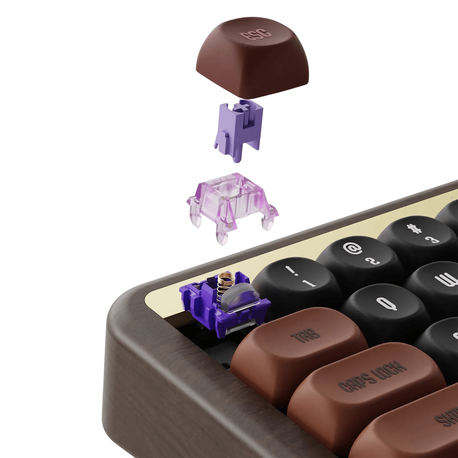Akko Autumn Wooden Mechanical Keyboard MOA Profile RGB Hot - TKINGS