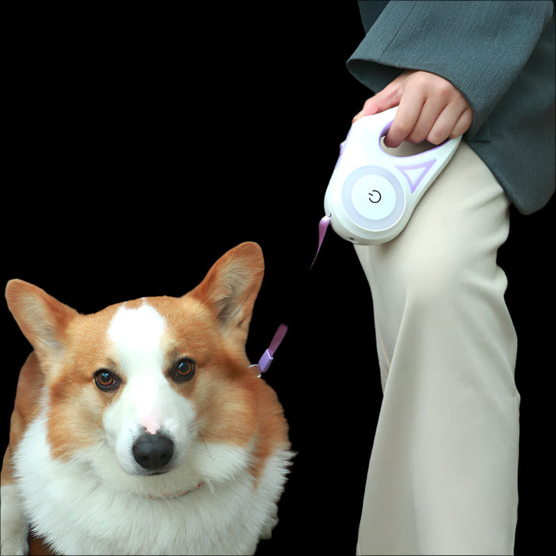 Dog Leash Retractable Leash And Dog Collar Spotlight