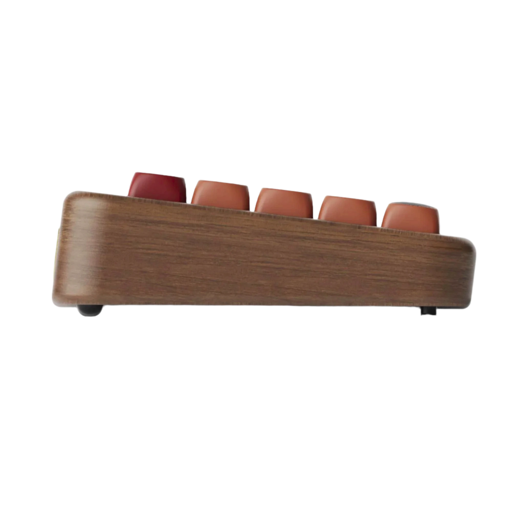 Akko Autumn Wooden Mechanical Keyboard MOA Profile RGB Hot - TKINGS