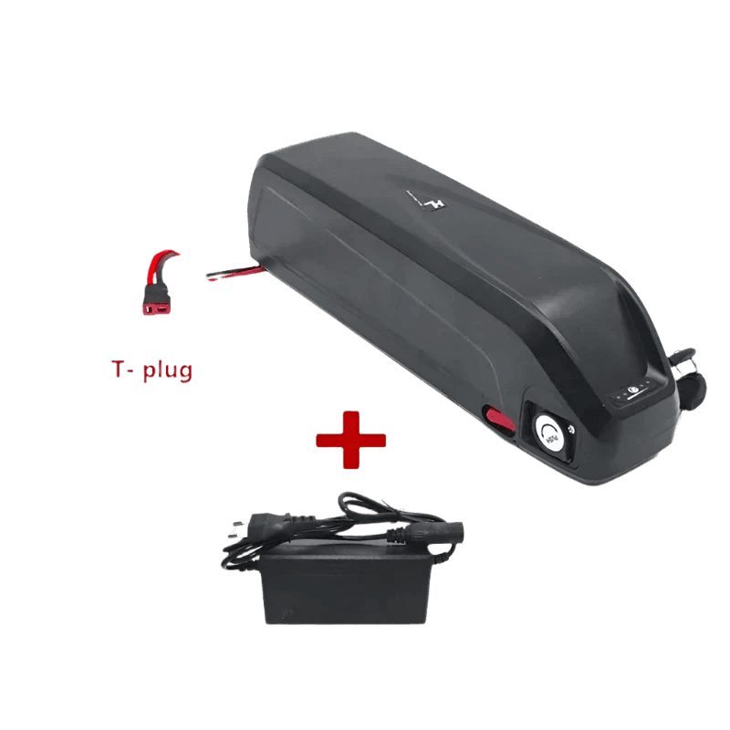 Hailong Battery 36V 48V 52V-20Ah 30Ah for Bafang - TKINGS