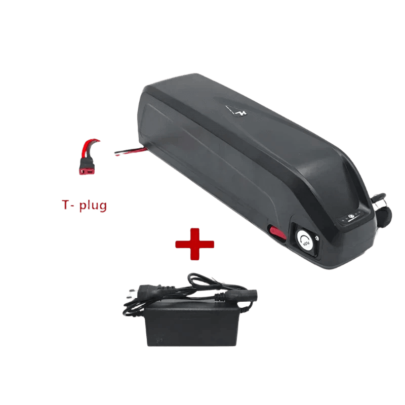 Hailong Battery 36V 48V 52V-20Ah 30Ah for Bafang - TKINGS