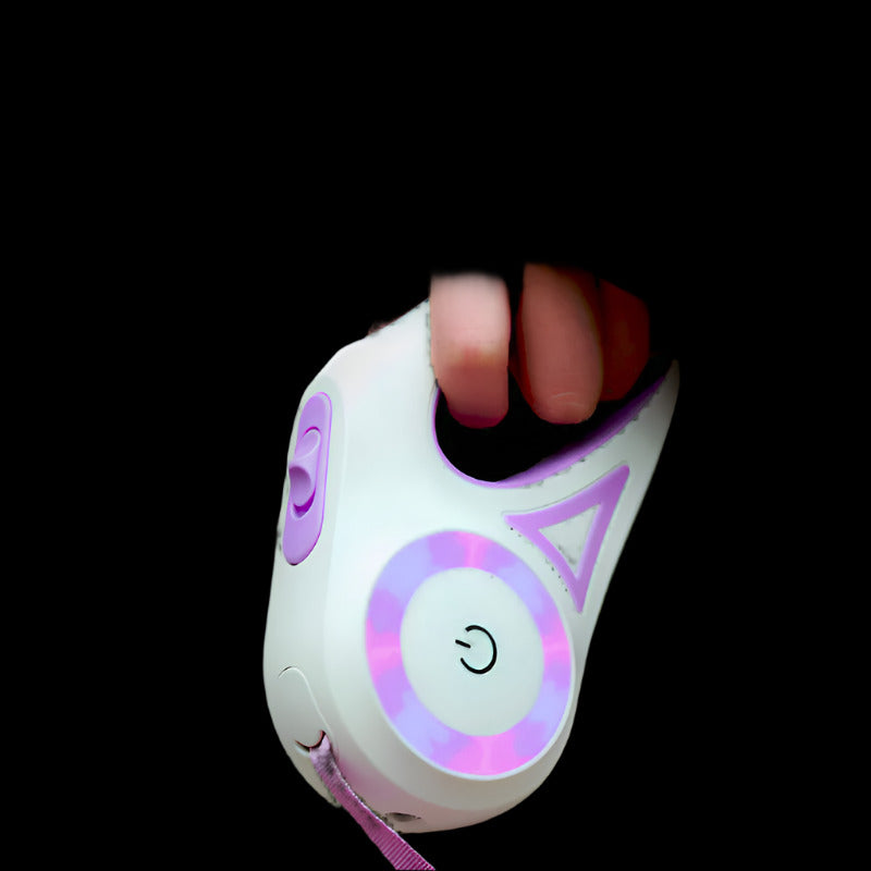Dog Leash Retractable Leash And Dog Collar Spotlight