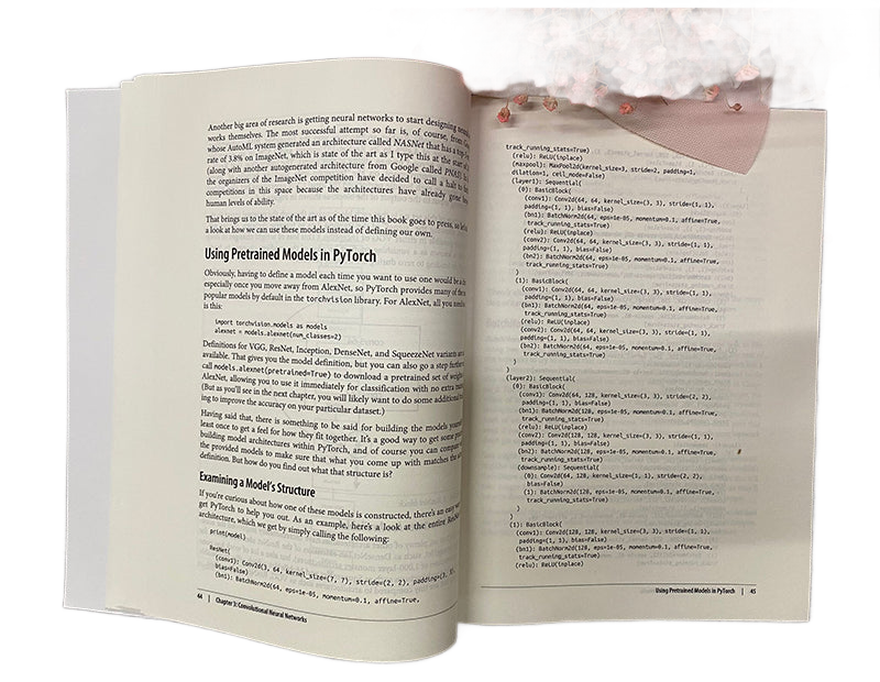 Image from Programming PyTorch for Deep Learning English Version Programming Textbook Author Ian Pointer Self-study Introductory Books - Copy