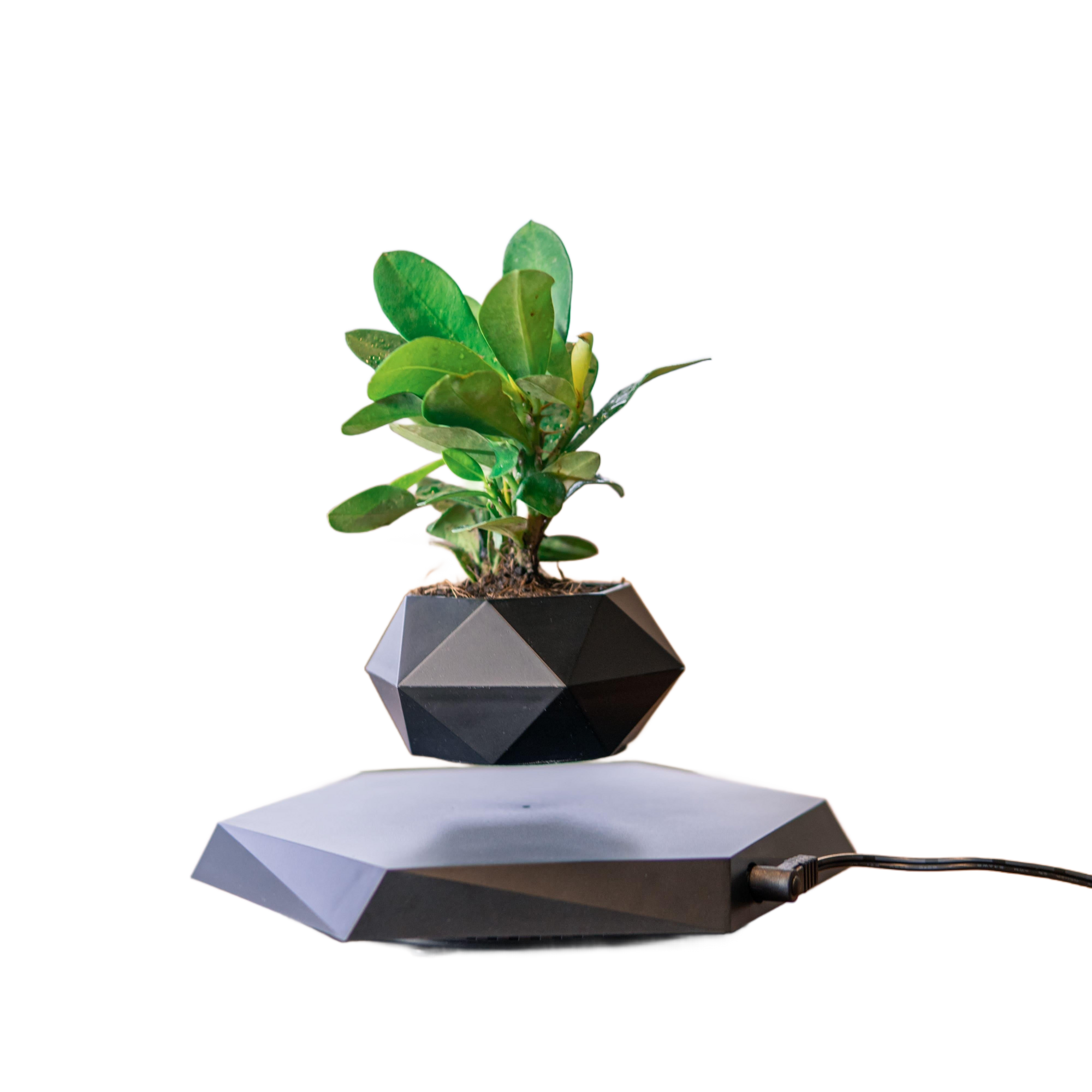 Image from 1pc, Magnetic Levitating Mini Rotating Flower Pot, New Magic Black Floating Plant Pot, Creative Pots For Office Desktop Balcony Home Garden Indoor Statue Decorations Ornaments - Copy