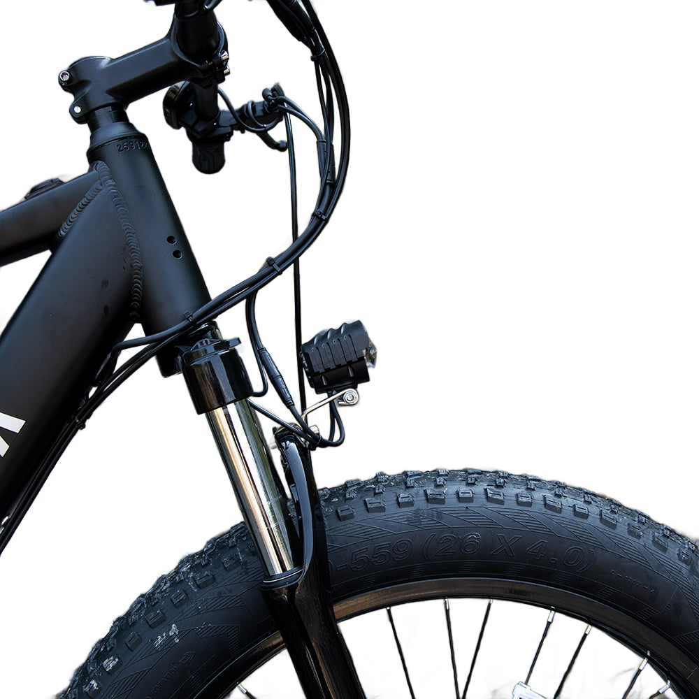 Image from Professional Electric Bike For Adults, 26 X 4.0 Inches Fat Tire Electric Mountain Bicycle, 1000W Motor 48V 15Ah Ebike For Trail Riding, Excursion And Commute, UL And GCC Certified - Copy