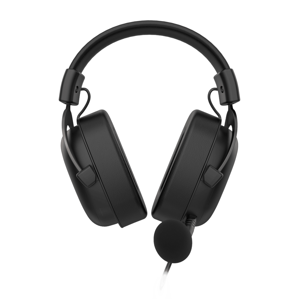 HAVIT Gaming Headset, Use Protein Leather Earmuffs and Detachable Mic - TKINGS