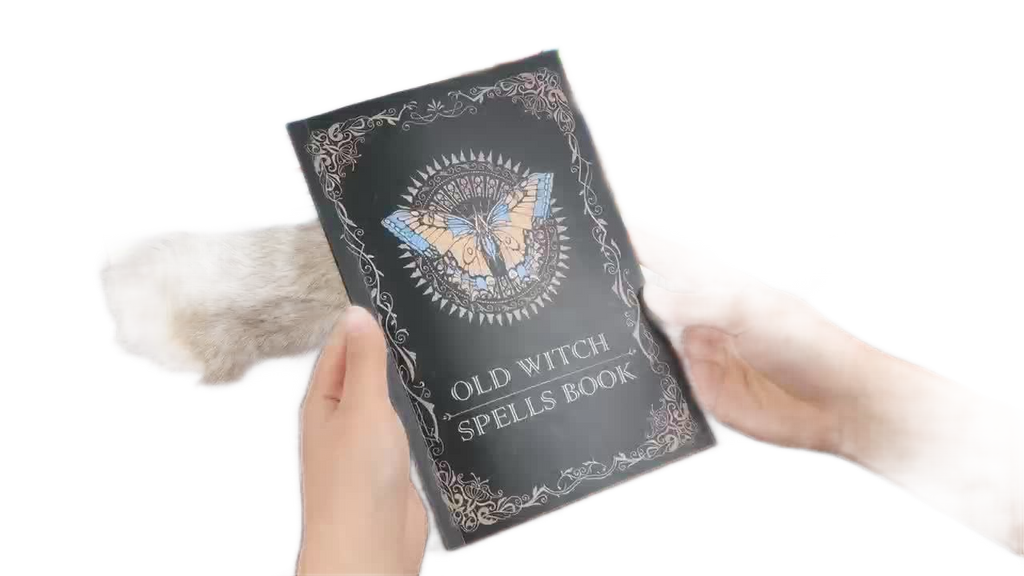 Image from Old Witch's Spellbook - Ancient Witch's Spellbook with 66 Pages of Ancient Incantations - The Shadow Book of Wicca - Copy