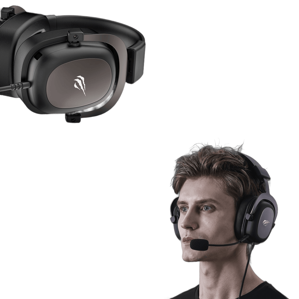HAVIT Gaming Headset, Use Protein Leather Earmuffs and Detachable Mic - TKINGS