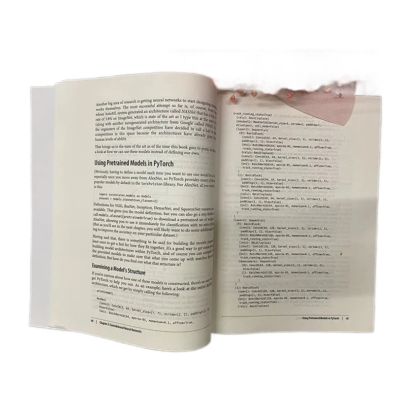 Image from Programming PyTorch for Deep Learning English Version Programming Textbook Author Ian Pointer Self-study Introductory Books - Copy