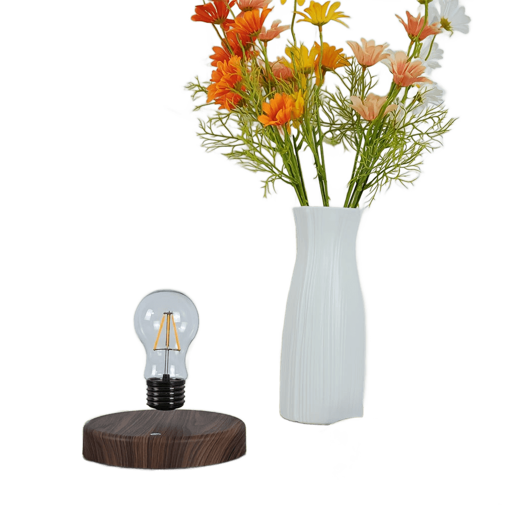 Magnetic Suspension Light Bulb - TKINGS